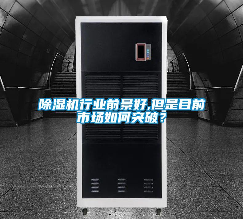 91抖音免费看片行业前景好,但是目前市场如何突破？
