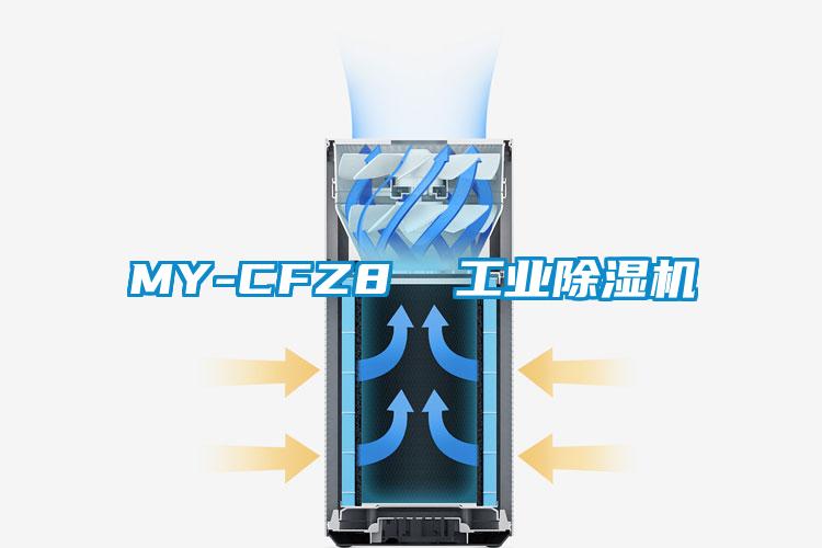 MY-CFZ8  工业91抖音免费看片
