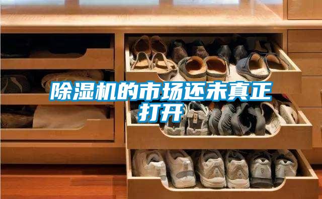 91抖音免费看片的市场还未真正打开