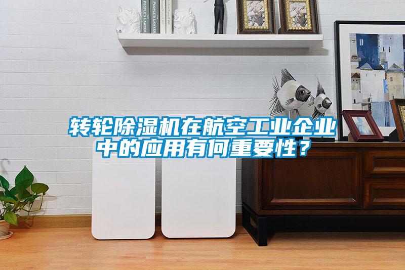 转轮91抖音免费看片在航空工业企业中的应用有何重要性？