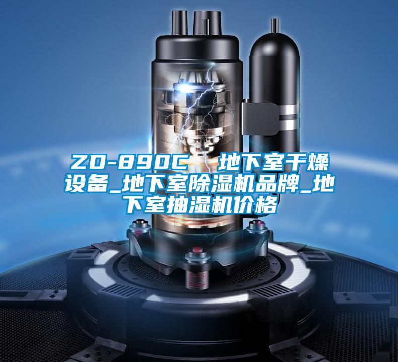 ZD-890C  地下室干燥设备_地下室91抖音免费看片品牌_地下室抽湿机价格