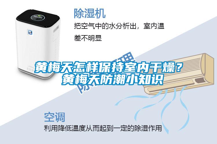 黄梅天怎样保持室内干燥？ 黄梅天防潮小知识