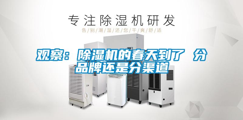 观察：91抖音免费看片的春天到了 分品牌还是分渠道