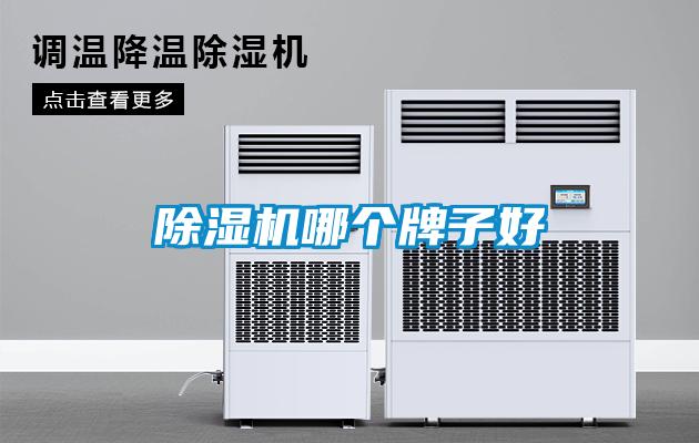 91抖音免费看片哪个牌子好