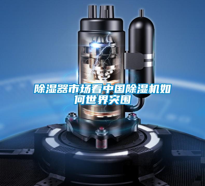 除湿器市场看中国91抖音免费看片如何世界突围