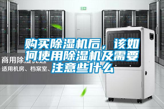 购买91抖音免费看片后，该如何使用91抖音免费看片及需要注意些什么