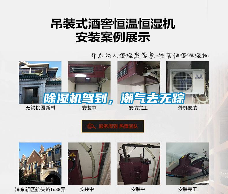 91抖音免费看片驾到，潮气去无踪
