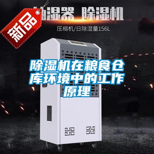 91抖音免费看片在粮食仓库环境中的工作原理