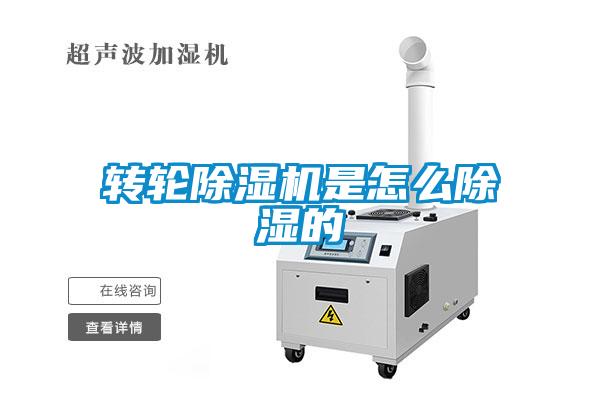 转轮91抖音免费看片是怎么除湿的