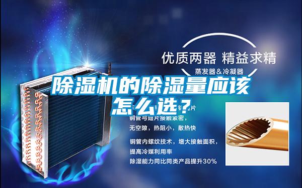 91抖音免费看片的除湿量应该怎么选？