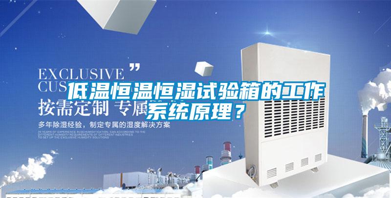低温恒温恒湿试验箱的工作系统原理？