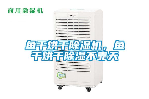 鱼干烘干91抖音免费看片，鱼干烘干除湿不靠天