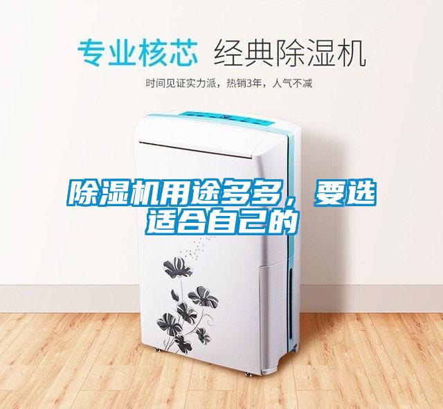 91抖音免费看片用途多多，要选适合自己的