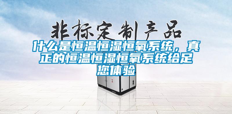 什么是恒温恒湿恒氧系统，真正的恒温恒湿恒氧系统给足您体验