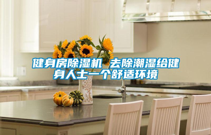 健身房91抖音免费看片 去除潮湿给健身人士一个舒适环境