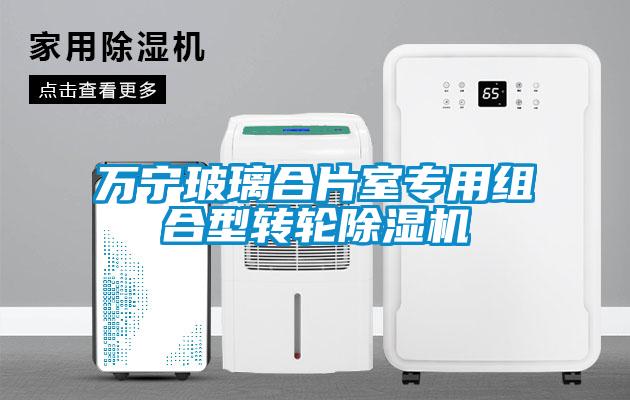 万宁玻璃合片室专用组合型转轮91抖音免费看片
