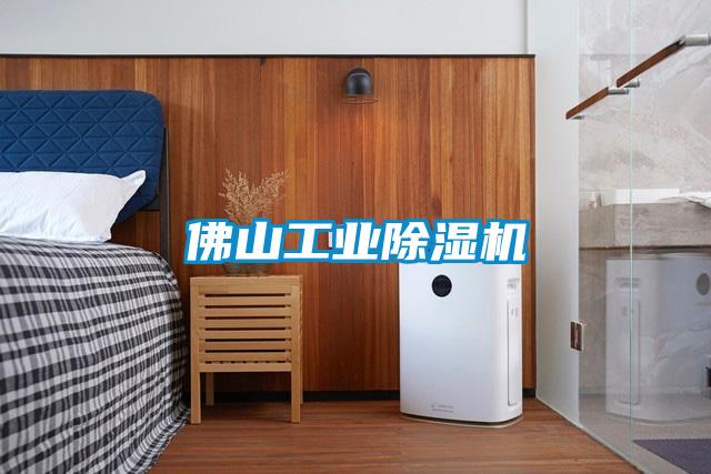 佛山工业91抖音免费看片