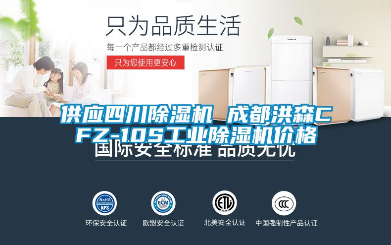 供应四川91抖音免费看片 成都洪森CFZ-10S工业91抖音免费看片价格