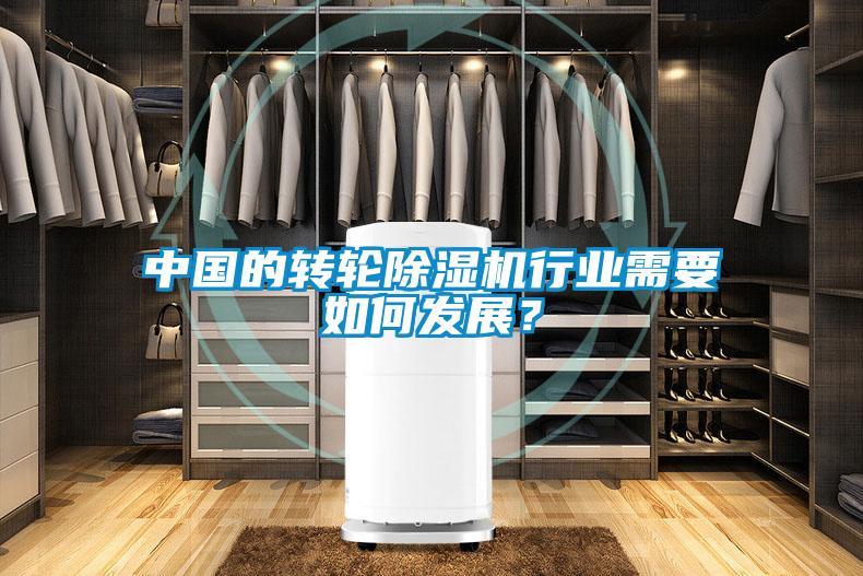 中国的转轮91抖音免费看片行业需要如何发展？