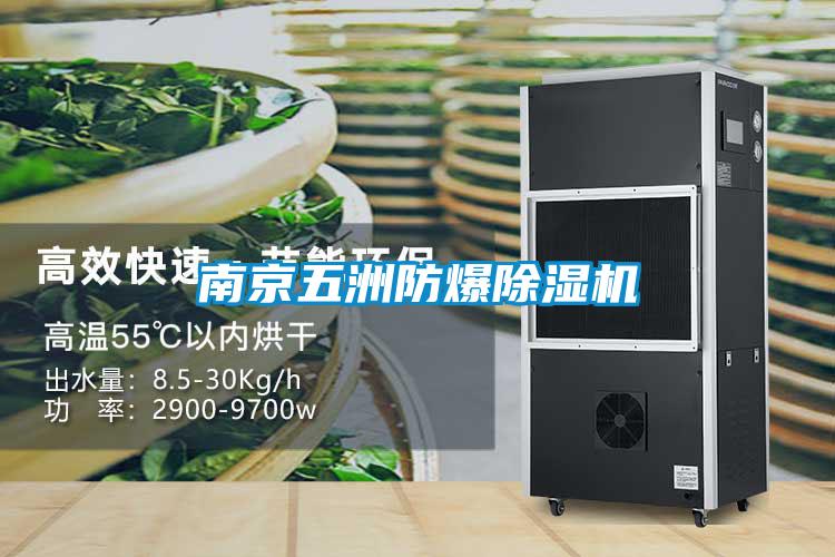 南京五洲防爆91抖音免费看片