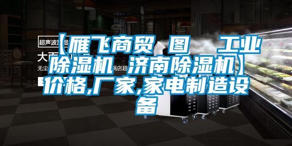 【雁飞商贸 图  工业91抖音免费看片 济南91抖音免费看片】价格,厂家,家电制造设备