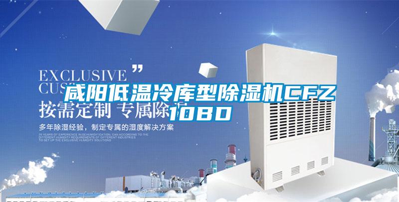 咸阳低温冷库型91抖音免费看片CFZ10BD