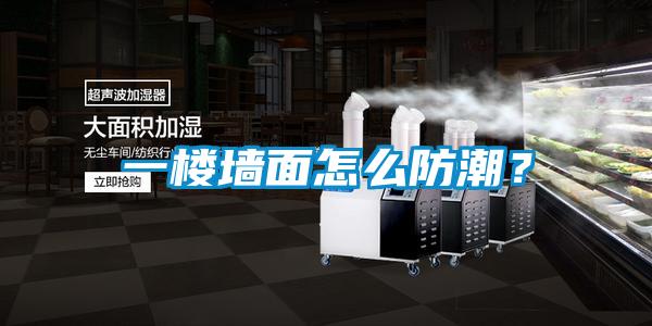 一楼墙面怎么防潮？