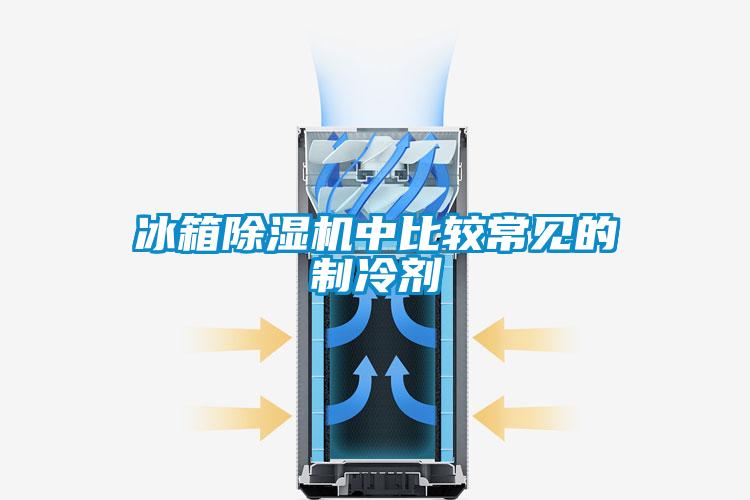 冰箱91抖音免费看片中比较常见的制冷剂
