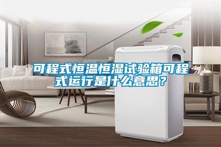 可程式恒温恒湿试验箱可程式运行是什么意思？