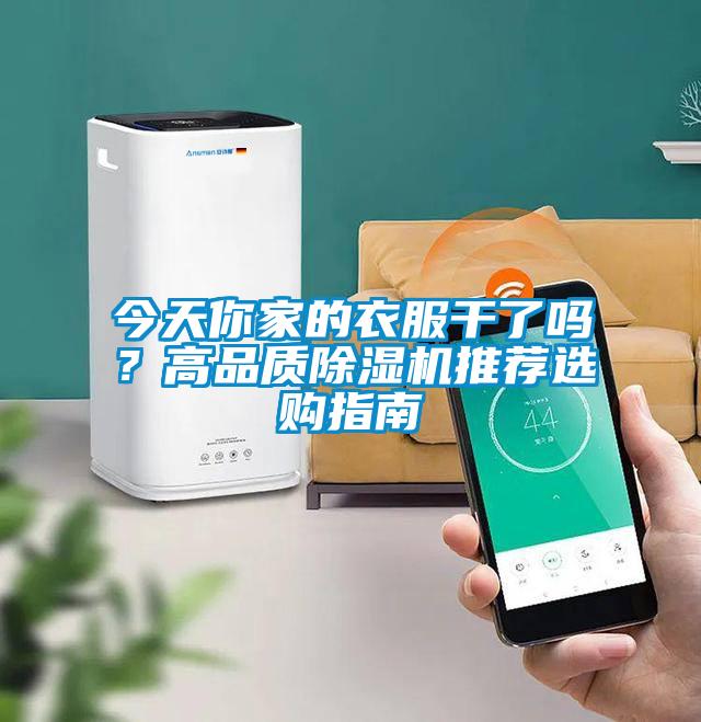 今天你家的衣服干了吗？高品质91抖音免费看片推荐选购指南
