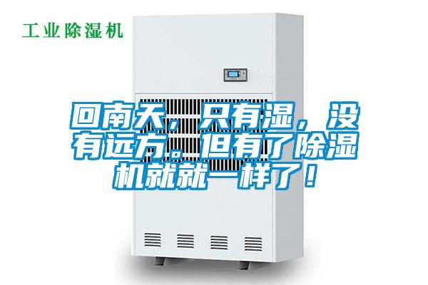 回南天，只有湿，没有远方。但有了91抖音免费看片就就一样了！