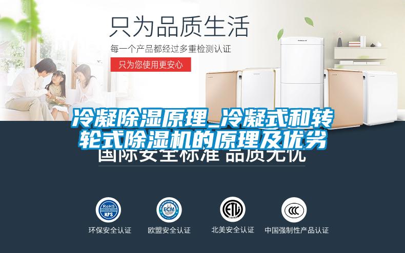 冷凝除湿原理_冷凝式和转轮式91抖音免费看片的原理及优劣