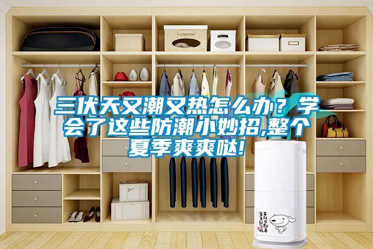 三伏天又潮又热怎么办？学会了这些防潮小妙招,整个夏季爽爽哒!