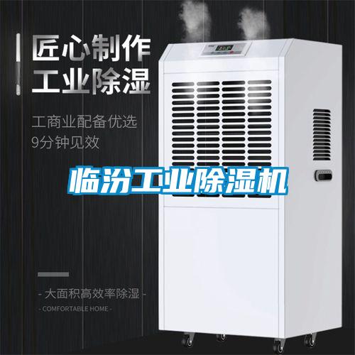 临汾工业91抖音免费看片