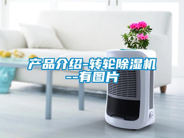 产品介绍-转轮91抖音免费看片--有图片