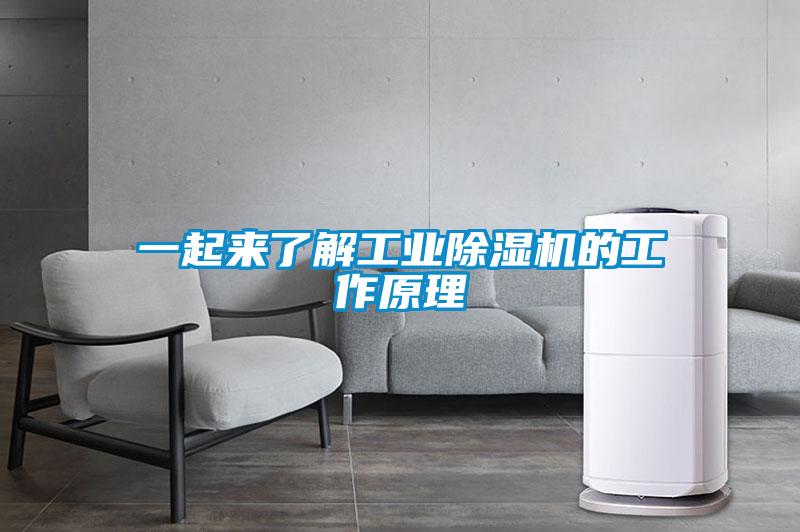 一起来了解工业91抖音免费看片的工作原理