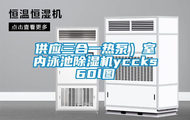 供应三合一热泵）室内泳池91抖音免费看片yccks60l图