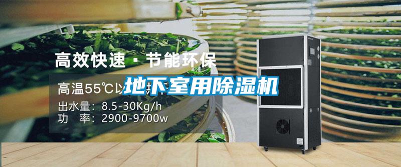 地下室用91抖音免费看片