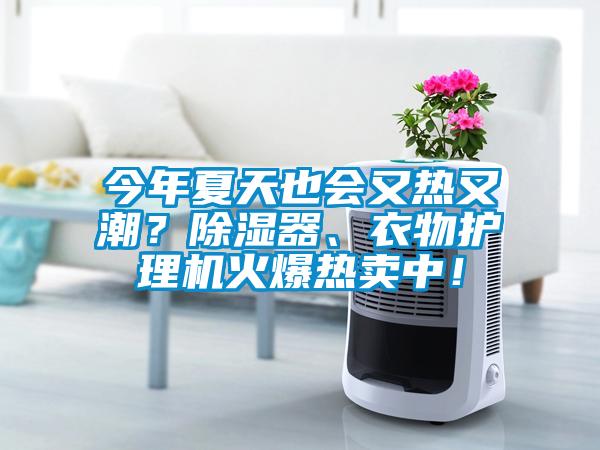 今年夏天也会又热又潮？除湿器、衣物护理机火爆热卖中！