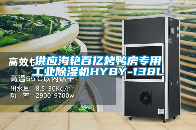 供应海艳百亿烤鸭房专用工业91抖音免费看片HYBY-138L