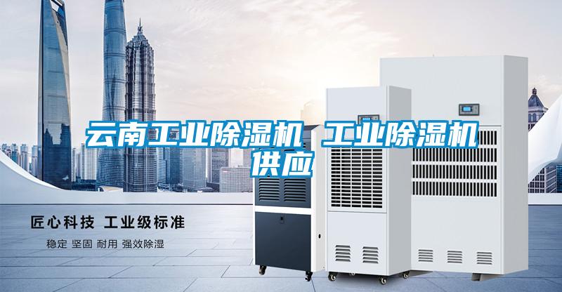 云南工业91抖音免费看片 工业91抖音免费看片供应