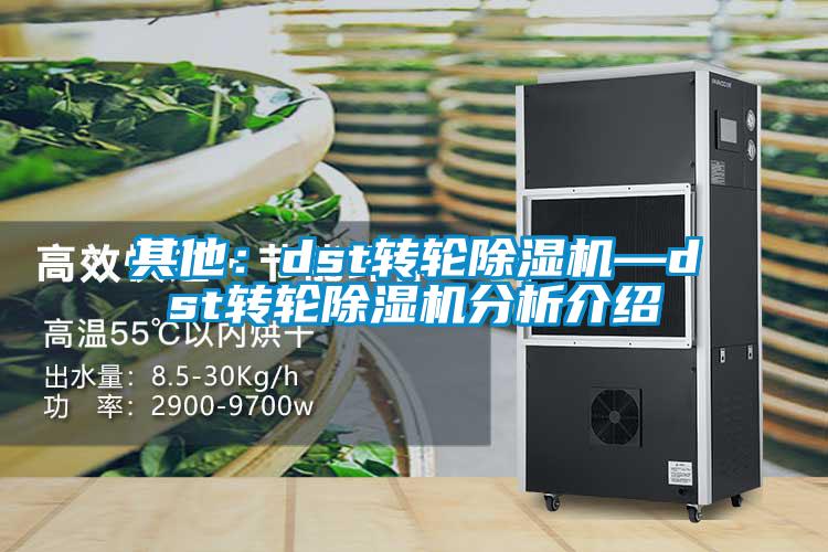 其他：dst转轮91抖音免费看片—dst转轮91抖音免费看片分析介绍