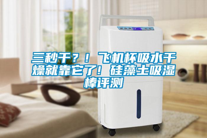 三秒干？! 飞机杯吸水干燥就靠它了! 硅藻土吸湿棒评测