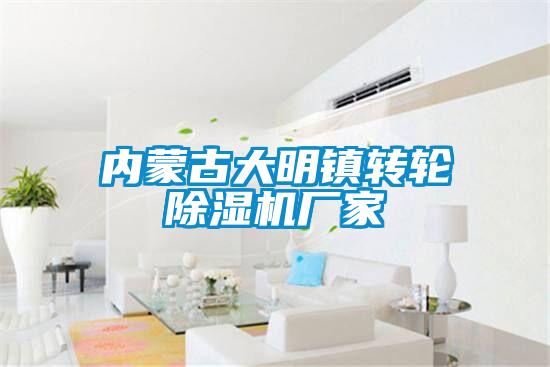 内蒙古大明镇转轮91抖音免费看片厂家