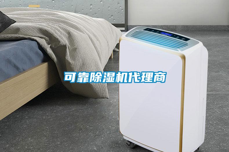 可靠91抖音免费看片代理商