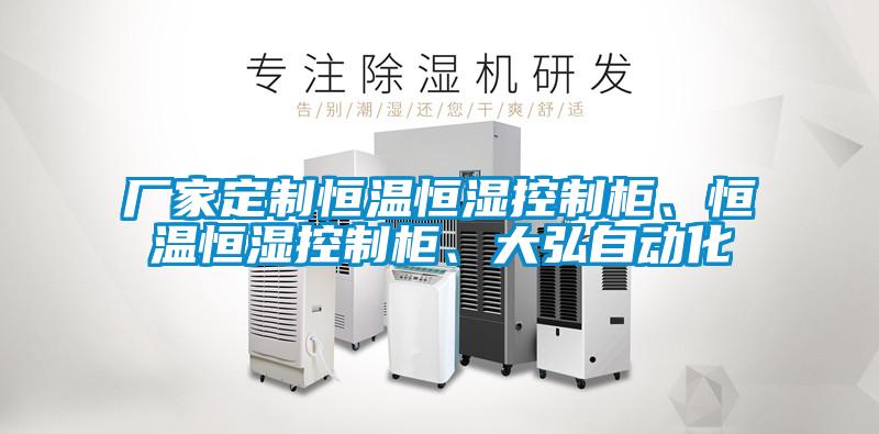 厂家定制恒温恒湿控制柜、恒温恒湿控制柜、大弘自动化