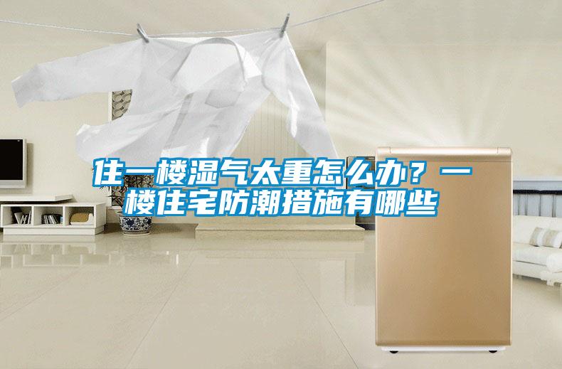住一楼湿气太重怎么办？一楼住宅防潮措施有哪些
