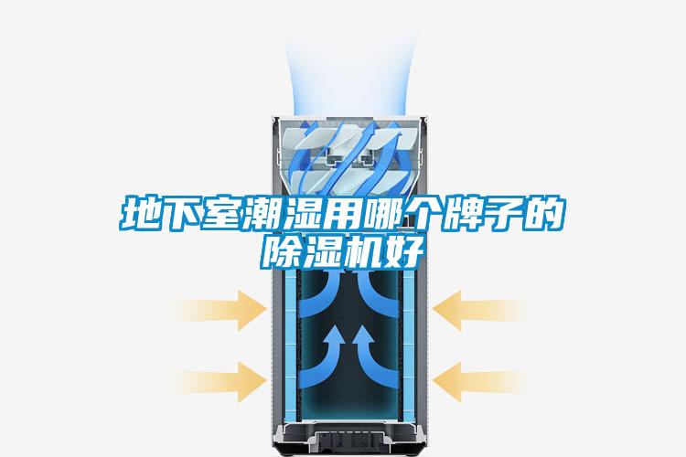 地下室潮湿用哪个牌子的91抖音免费看片好