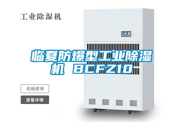 临夏防爆型工业91抖音免费看片 BCFZ10