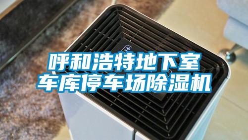 呼和浩特地下室车库停车场91抖音免费看片
